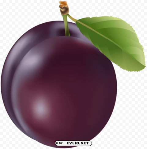 prune PNG Image with Isolated Subject