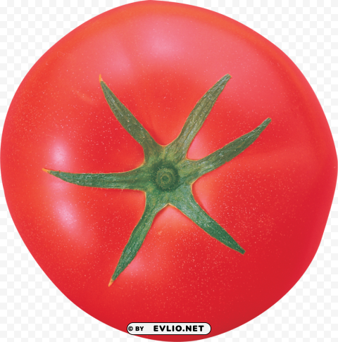 red tomatoes PNG transparent photos for presentations
