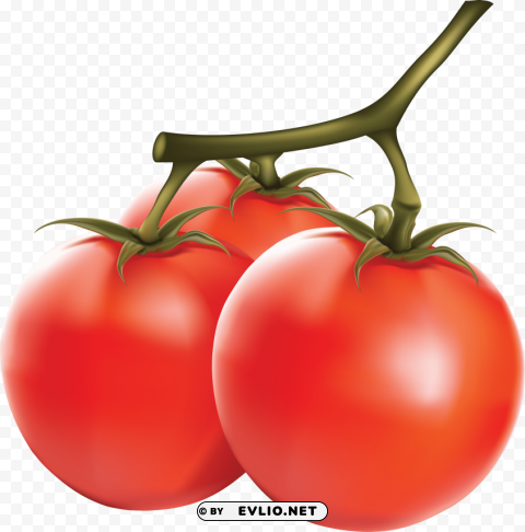 tomato Isolated Illustration with Clear Background PNG