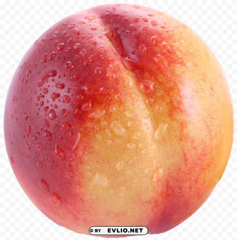  nectarine Transparent background PNG images comprehensive collection