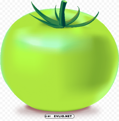 green tomato icon Transparent PNG Isolation of Item