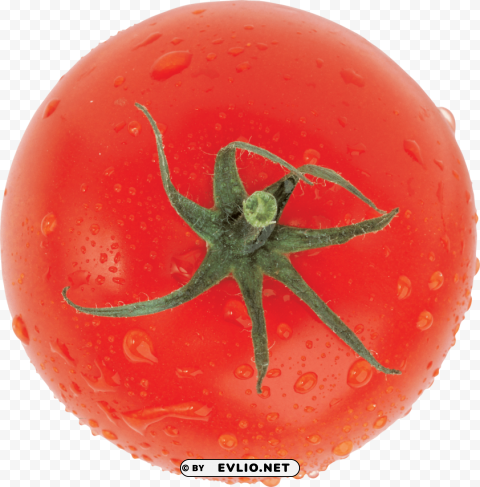 red tomatoes PNG transparent images bulk