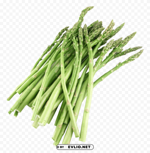 asparagus Transparent PNG picture