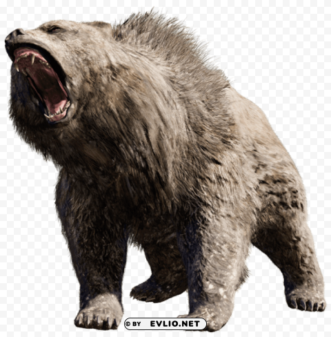 Bear - High-Quality Images - Image ID f0d85a4c Isolated Graphic in Transparent PNG Format