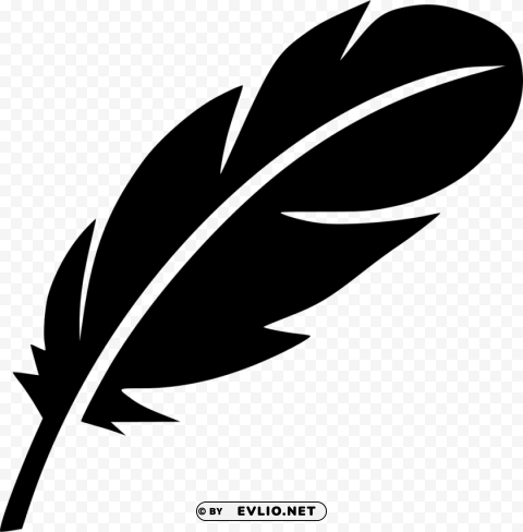 Bird Feather Icon PNG Isolated Subject With Transparency