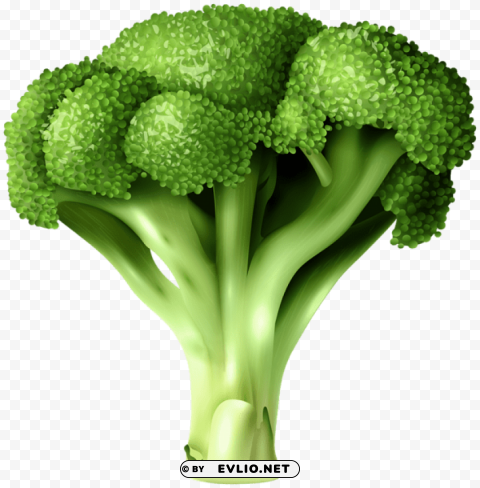 broccoli PNG images with transparent backdrop