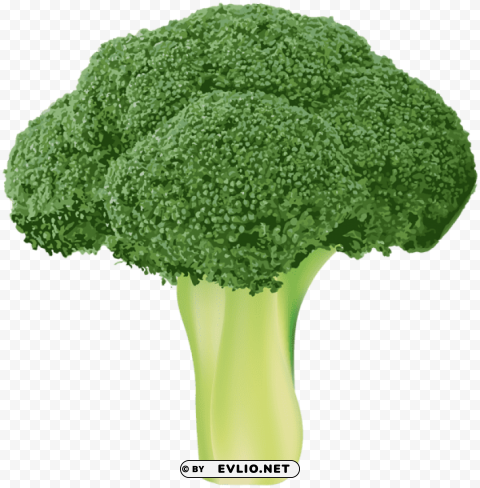 broccoli PNG images with transparent layering