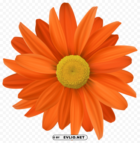 Orange Flower PNG Image With Isolated Icon