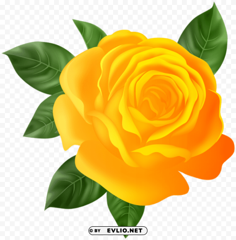 PNG image of orange rose PNG files with no backdrop pack with a clear background - Image ID 45853b36