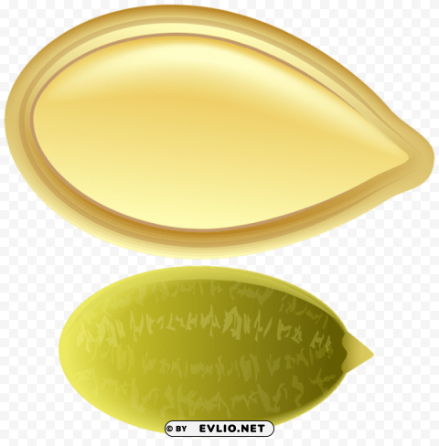 pumpkin seed PNG pictures with no backdrop needed