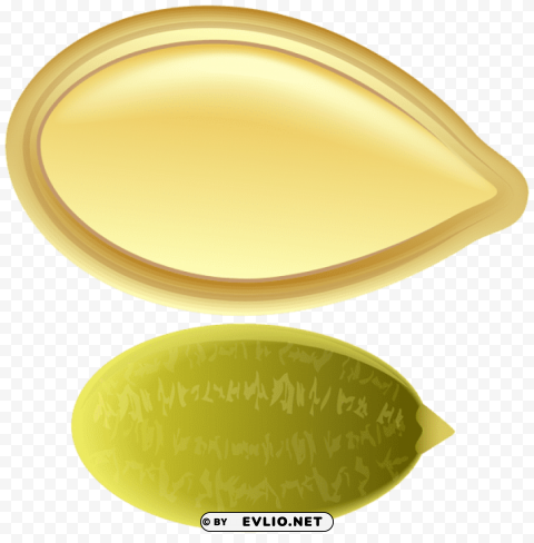 pumpkin seed PNG pictures with no backdrop needed clipart png photo - ae826922