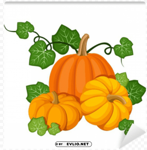 pumpkin with leaves Isolated Design in Transparent Background PNG