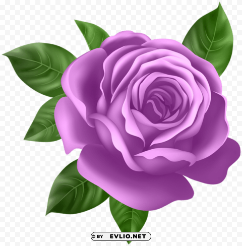 PNG image of purple rose PNG files with no background wide assortment with a clear background - Image ID 33cbc5de