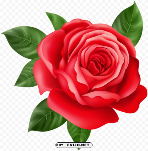 Red Rose PNG Files With Alpha Channel