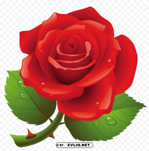 red rose art picture PNG Graphic with Clear Isolation