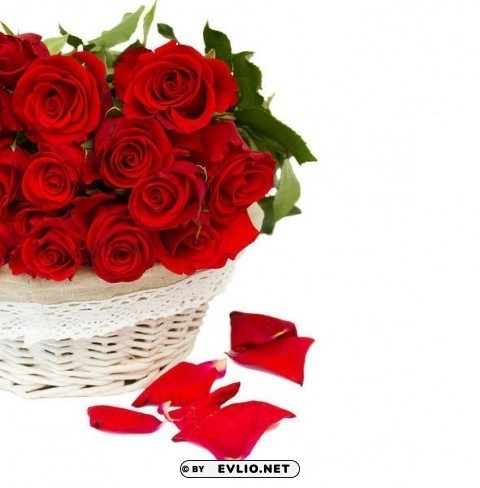red roses white Isolated Object with Transparency in PNG