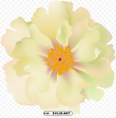 rosebush flower Transparent PNG Isolation of Item