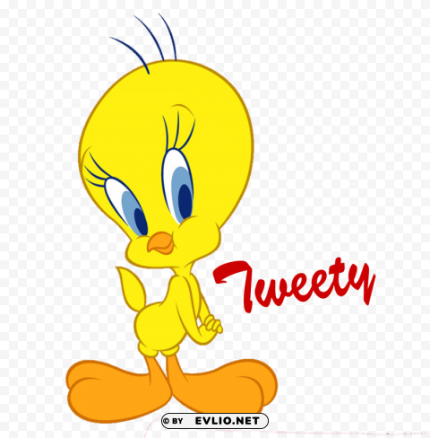 tweety photo PNG images with transparent layer