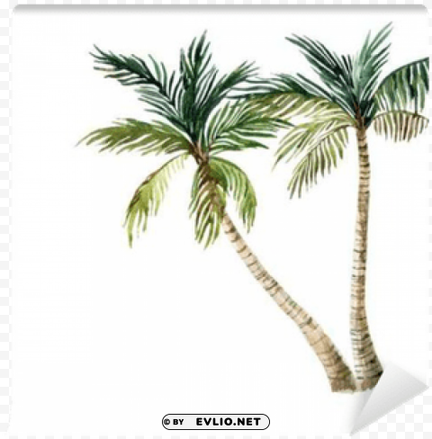 watercolor palm tree High-resolution transparent PNG images comprehensive assortment PNG transparent with Clear Background ID 6c630444