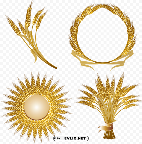 Wheat PNG Image Isolated on Clear Backdrop