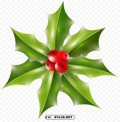 xmas holly Free PNG images with alpha transparency