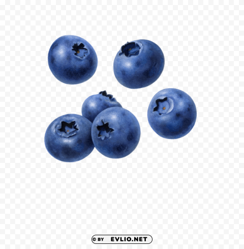 falling blueberrys PNG transparent design
