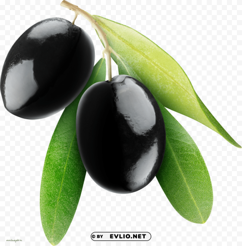 olives PNG images for merchandise
