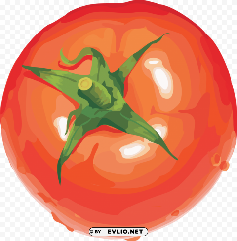 red tomatoes Isolated Graphic on HighQuality Transparent PNG