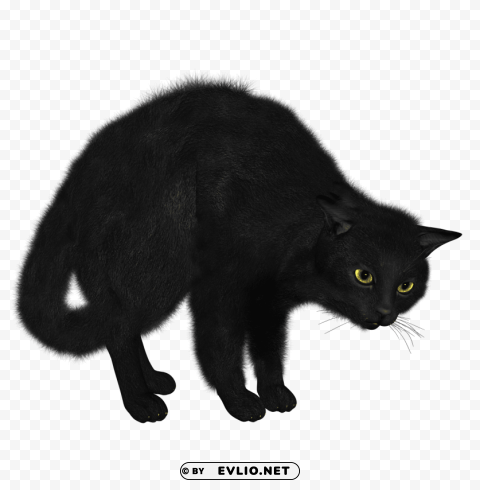black cat looking PNG transparent artwork