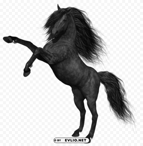 black horse PNG for free purposes