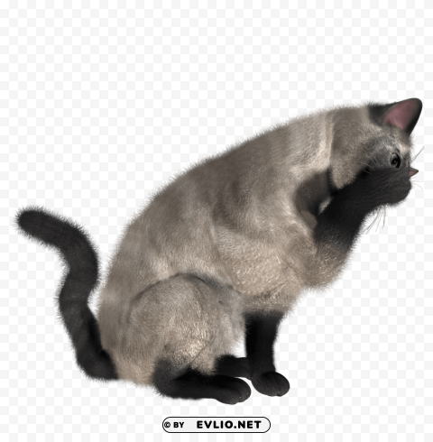 cat No-background PNGs png images background - Image ID 96dd0639