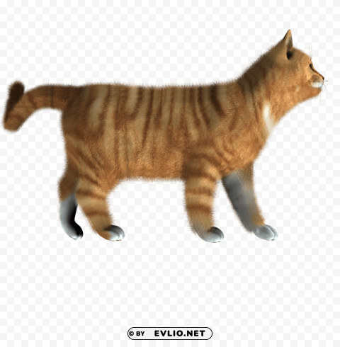 cat PNG clipart with transparency png images background - Image ID e0bd1e5e