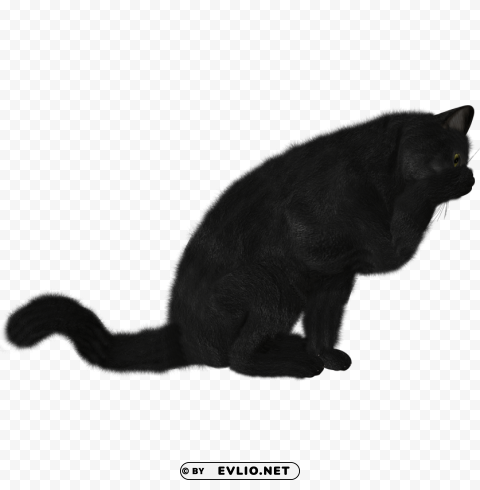 cat PNG cutout