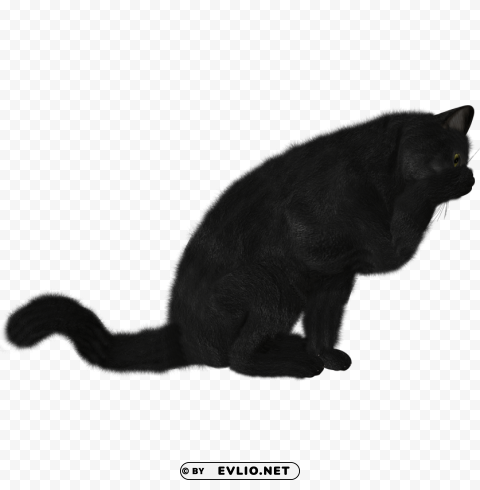 Cat PNG Cutout