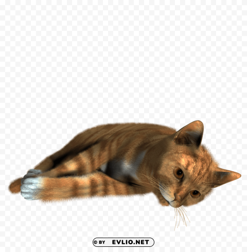 cat PNG file with alpha png images background - Image ID 4c77d573