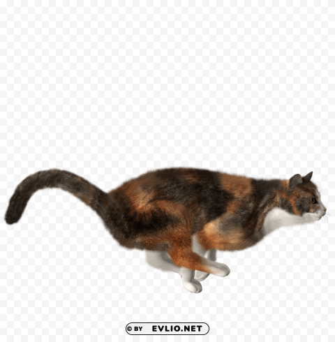 cat PNG files with clear background collection