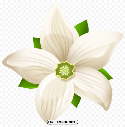 large white flower transparent PNG files with clear backdrop assortment