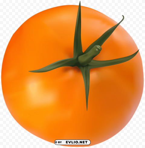 orange tomato transparent PNG Isolated Design Element with Clarity