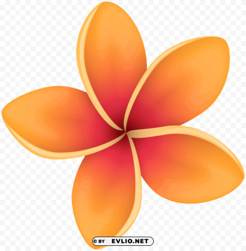orange tropical flower PNG transparent photos vast collection