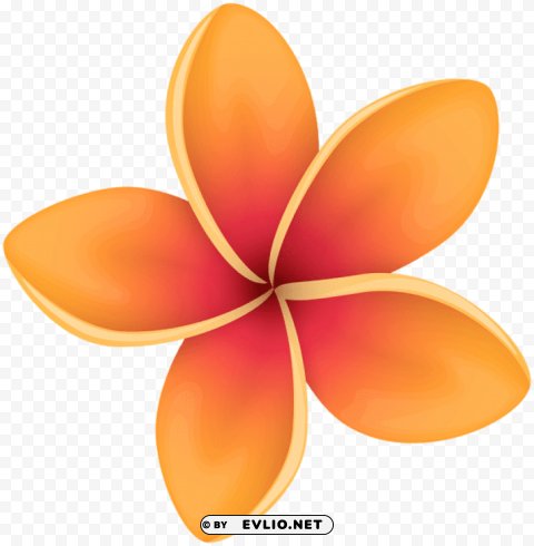 Orange Tropical Flower PNG Transparent Photos Vast Collection