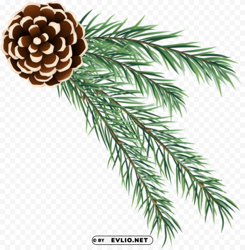 pine cone decoration Isolated Icon in Transparent PNG Format