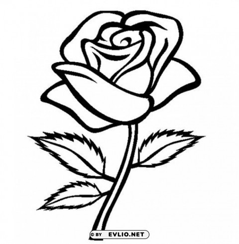  rose outline s Isolated Design on Clear Transparent PNG clipart png photo - d6ebd852