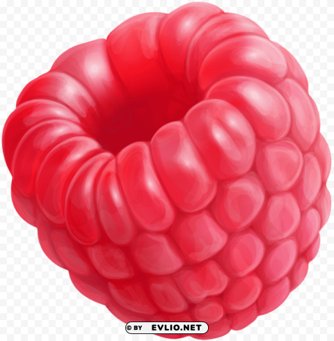 raspberry PNG Isolated Object with Clarity