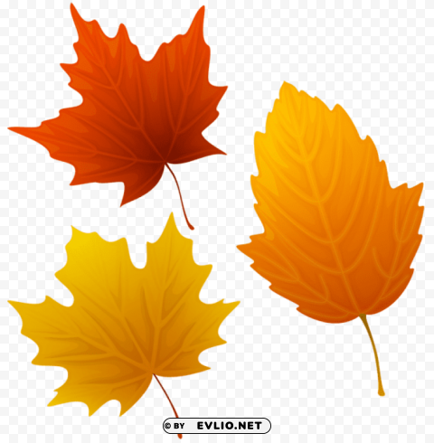 set of autumn leaves Transparent PNG image free