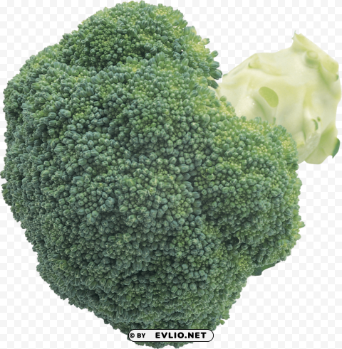 broccoli PNG transparent backgrounds
