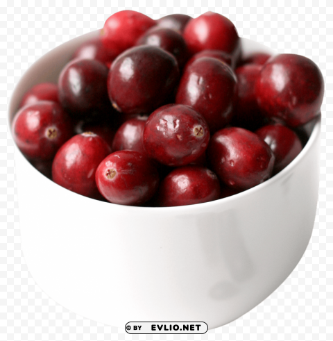Cranberry Isolated Element on Transparent PNG