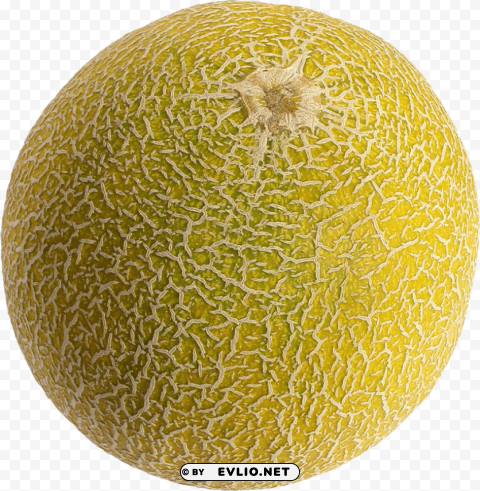 melon PNG pictures with no background required
