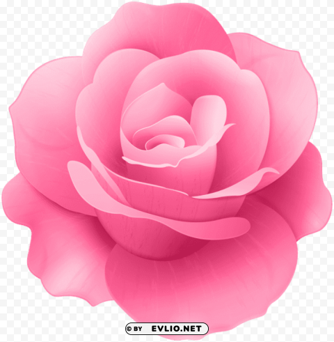 Pink Rose Flower PNG Images Without BG