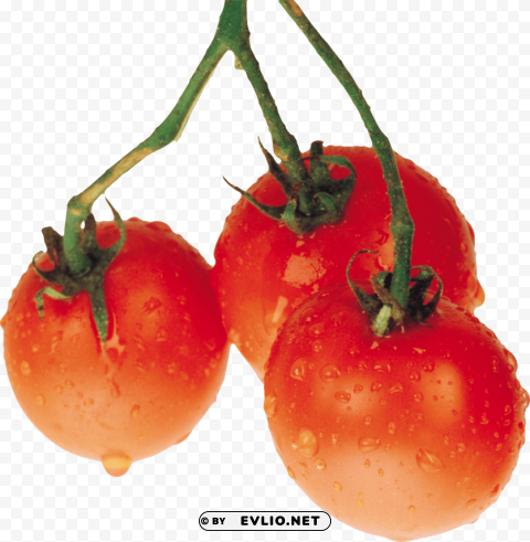 red tomatoes Clear PNG graphics PNG images with transparent backgrounds - Image ID 12b106ab