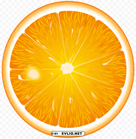 round orange slice PNG transparent icons for web design